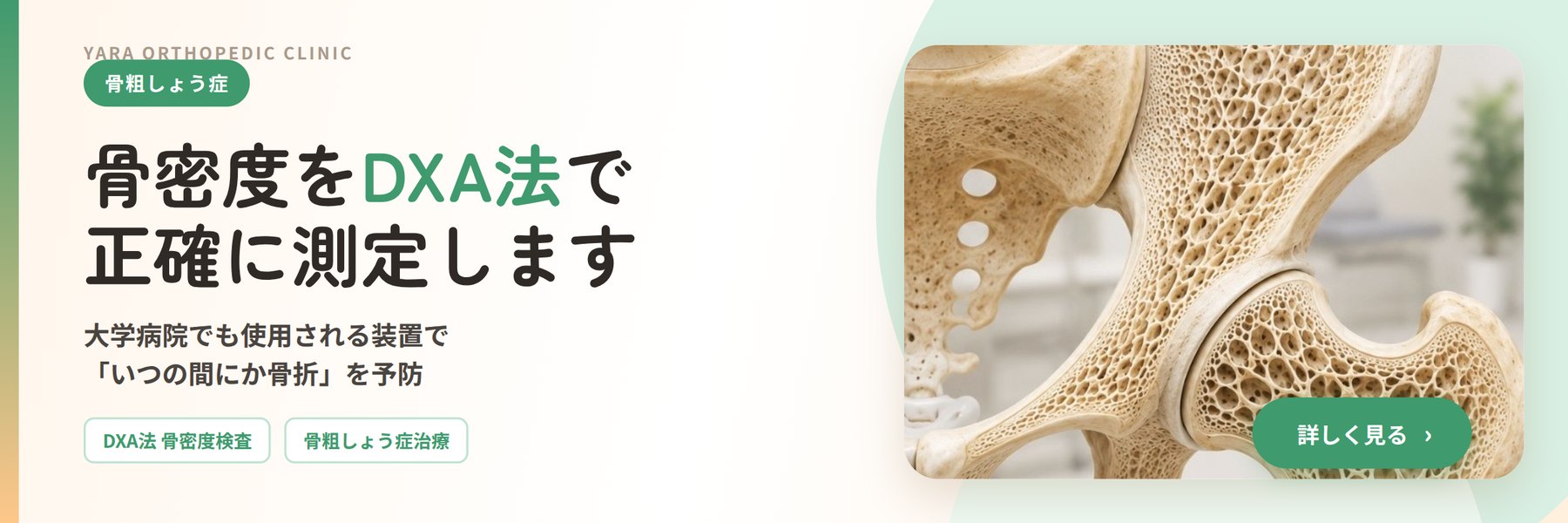 骨密度検査(DXA法)・骨粗しょう症