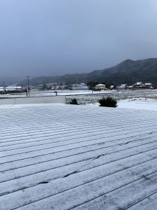 雪道で転んだら・・・手首が折れているかも！⛄