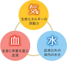腰痛に対する漢方治療！